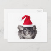 Bezauberndes Chinchilla Feiertagspostkarte (Vorne/Hinten)