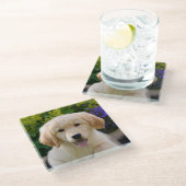 Bezauberndes Goldie Hundewelpen-niedliches Foto, Glasuntersetzer (Schrägansicht)