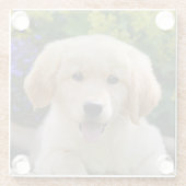 Bezauberndes Goldie Hundewelpen-niedliches Foto, Glasuntersetzer (Rückseite)
