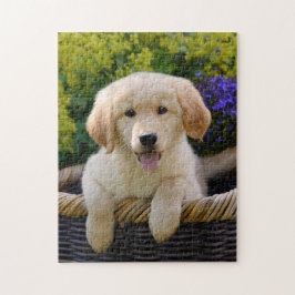 Bezauberndes Goldie Hundewelpen-Spiel 11x14 Puzzle