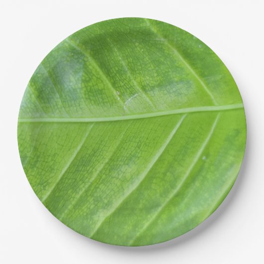 Bezauberndes, grünes Leaf-Design, 9-Zoll-Runde Pappteller (Vorderseite)