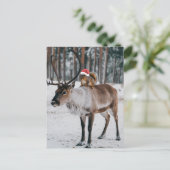 Bezauberndes Santa Eichhörnchen und Rentier Postkarte (Stehend Vorderseite)