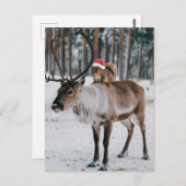 Bezauberndes Santa Eichhörnchen und Rentier Postkarte (Vorne/Hinten)