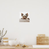 bezauberndes Yorkshire Terrier Fotografie Poster (Küche)