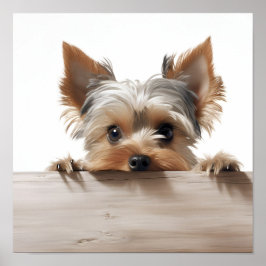 bezauberndes Yorkshire Terrier Fotografie Poster