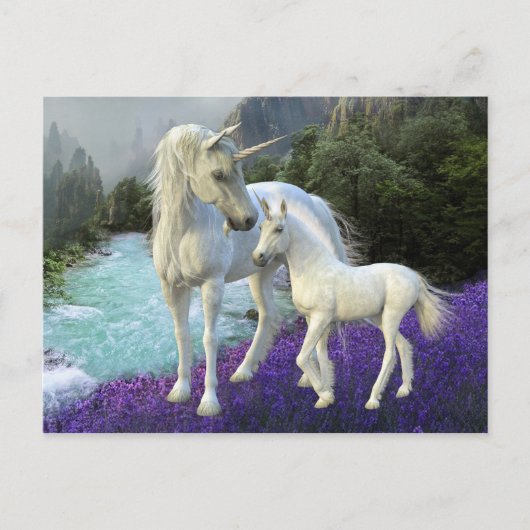 Bezauberte Mutter Unicorn und Foal Baby Postkarte (Vorderseite)