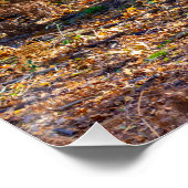 Bezauberte Waldlandschaft - glänzendes Poster (Ecke)