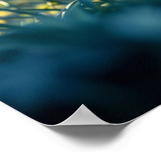 Bezauberter, blau-mit Augen Löwenwürfel in glühend Poster (Ecke)