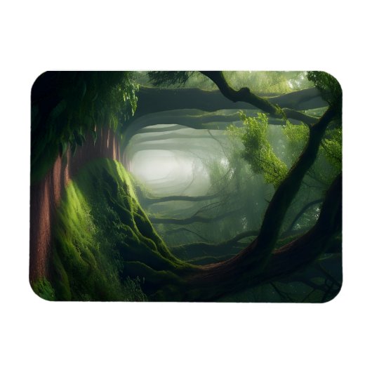 Bezauberter Waldwaldspazierweg Kühlschrank Magnet (Horizontal)