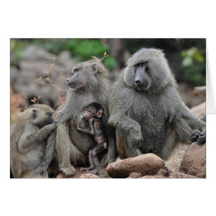 Bezaubertes Leben, See Manyara