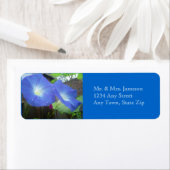 Bezeichnung der Morning Glory-Adresse (Insitu)