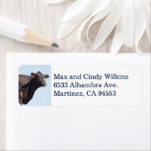 Bezeichnung der schwarzen Kuh (Insitu)