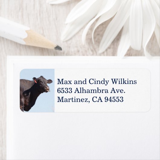 Bezeichnung der schwarzen Kuh (Insitu)