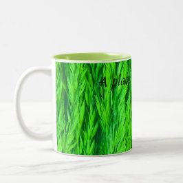 Bezeichnung des grünen Rasensamens für die Ernte Zweifarbige Tasse