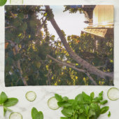 Bezeichnung für die Strandküche Handtücher (Gefaltet)