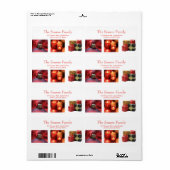 Bezeichnung für Sammelaufenthaltsadresse (Vorne)