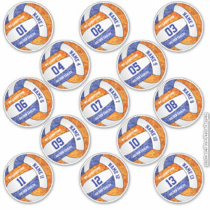 Bezeichnungen für gürtelblaue Orangenvolleyball Aufkleber