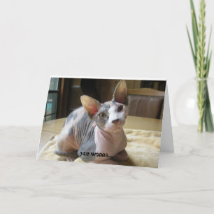 Beziehungsgrüßkarten Karte