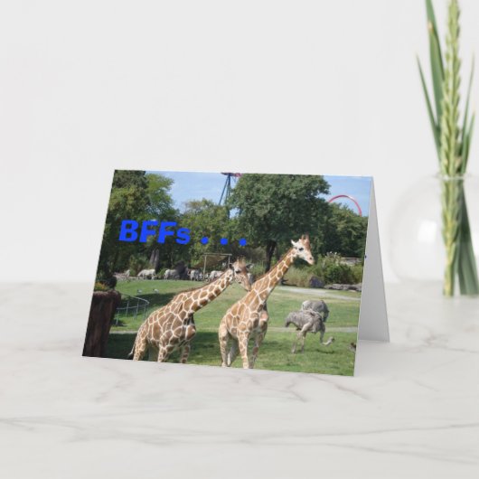BFFs . . . Karte (Vorderseite)