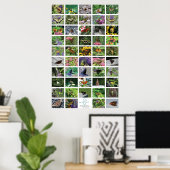bfly_50_poster poster (Heimbüro)