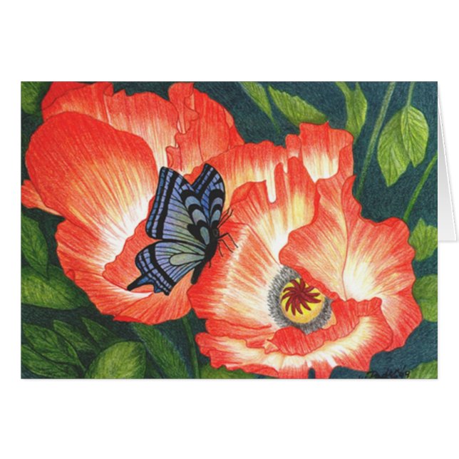 BFLYPOPY (Vorderseite (Horizontal))