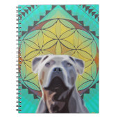 Bhalus Buch des Glücks (Vorderseite)