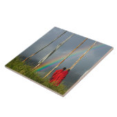 Bhutan, Gangtey Dorf, Regenbogen über zwei Mönche Fliese (Seite)