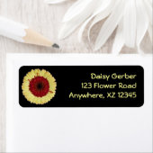 Bi-Color Gerber Daisy (Insitu)