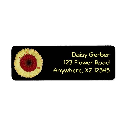 Bi-Color Gerber Daisy (Vorne)