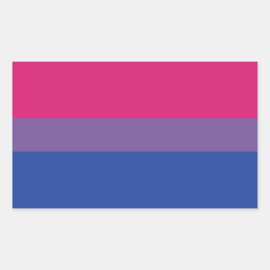 Bi Flag Rechteckiger Aufkleber (Vorderseite)