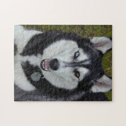 Bi-Mit Augen Sibirier Huskie Puzzle (Horizontal)