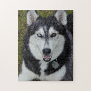 Bi-Mit Augen Sibirier Huskie Puzzle