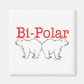 Bi-Polar Magnet (Vorne)