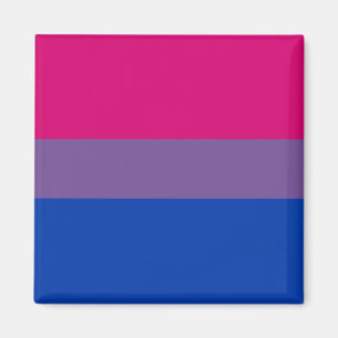 Bi Pride Flag-Magnete Magnet