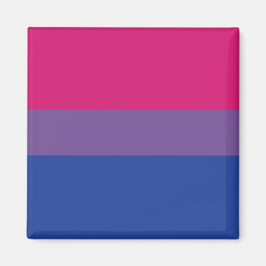 Bi-Pride-Magnet Magnet (Vorne)
