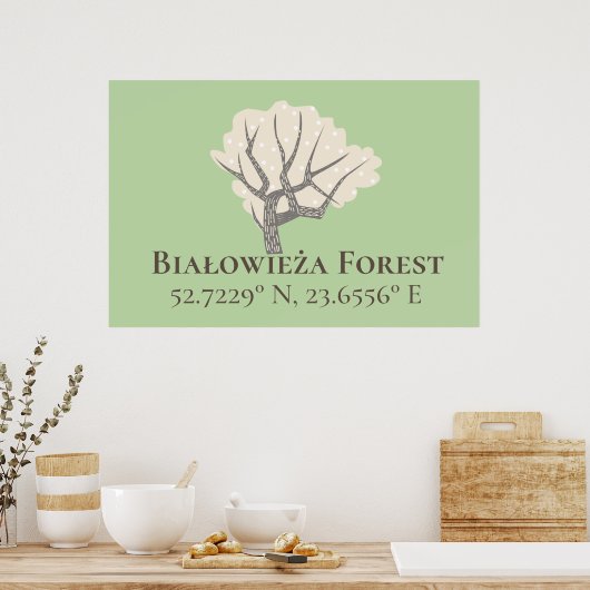 Białowieża Forest Latitude & Longitude Poster (Küche)