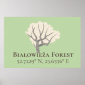Białowieża Forest Latitude & Longitude Poster (Vorne)