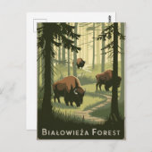 Bialowieza Forest Polen Vintag Postkarte (Vorne/Hinten)
