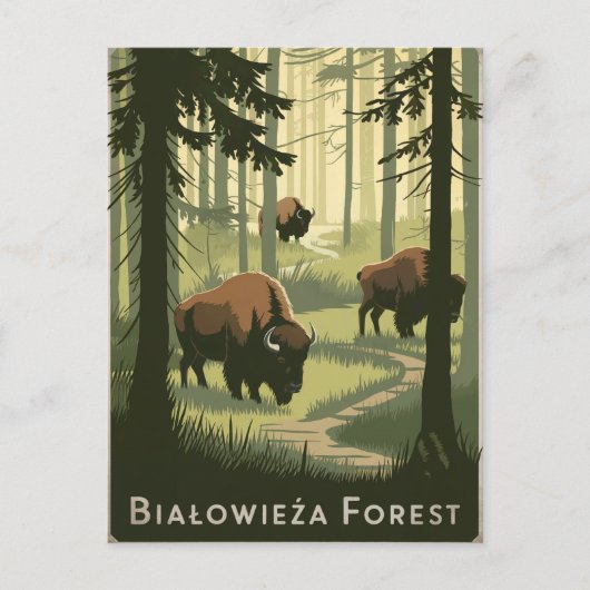 Bialowieza Forest Polen Vintag Postkarte (Vorderseite)