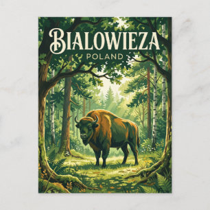 Białowieża National Park Polen Postkarte