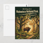 Białowieża Nationalpark Polen Postkarte (Vorne/Hinten)