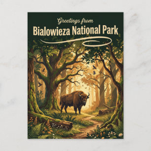 Białowieża Nationalpark Polen Postkarte