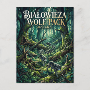 Białowieża-Wald Polen Postkarte