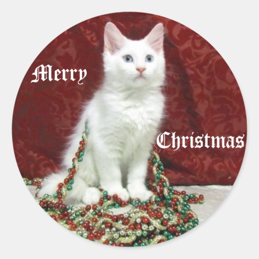 Biancas Weihnachtskleber - Katze / Kitten Runder Aufkleber (Vorderseite)