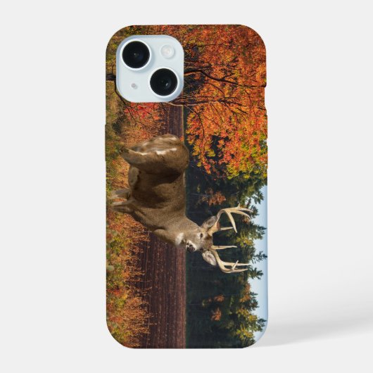 Bib Weißwedelhirsch schlägt eine Pose iPhone 15 Hü Hülle (Rückseite)