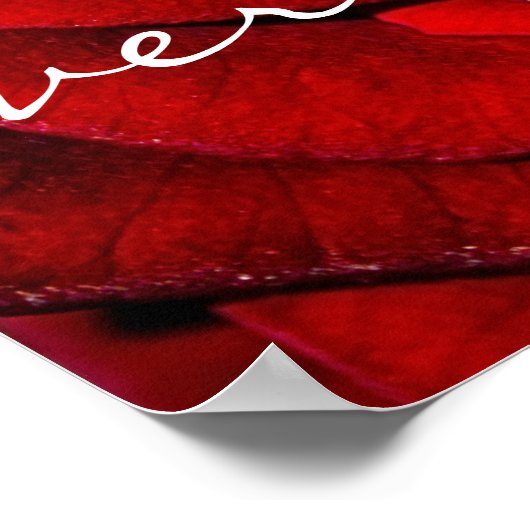 Bibel der Everlasting Liebe Erinnerung Poster (Ecke)