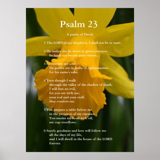 Bibel Psalm 23 Bibelverse. Gelbe Narzisse Poster (Vorne)