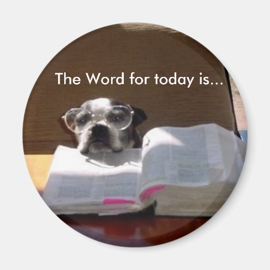 Bibel Reading Boston Terrier Magnet (Vorne)