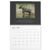 Bibel-Vers-Kalender-Tier-Reihe Kalender (Mär 2027)