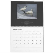 Bibel-Vers-Kalender-Tier-Reihe Kalender (Feb 2027)
